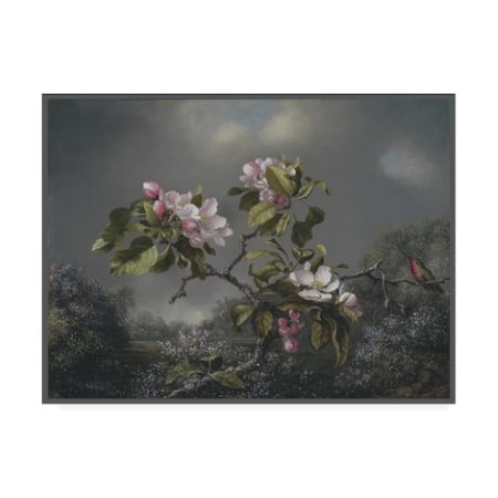 Martin Johnson Heade 'Apple Blossoms And Hummingbird' Canvas Art,18x24